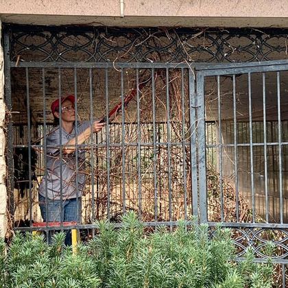 Volunteers working along an old iron fence